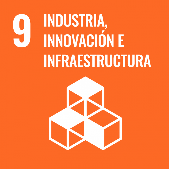 SDG 9 - INDUSTRIA, INNOVACIÓN E INFRAESTRUCTURA